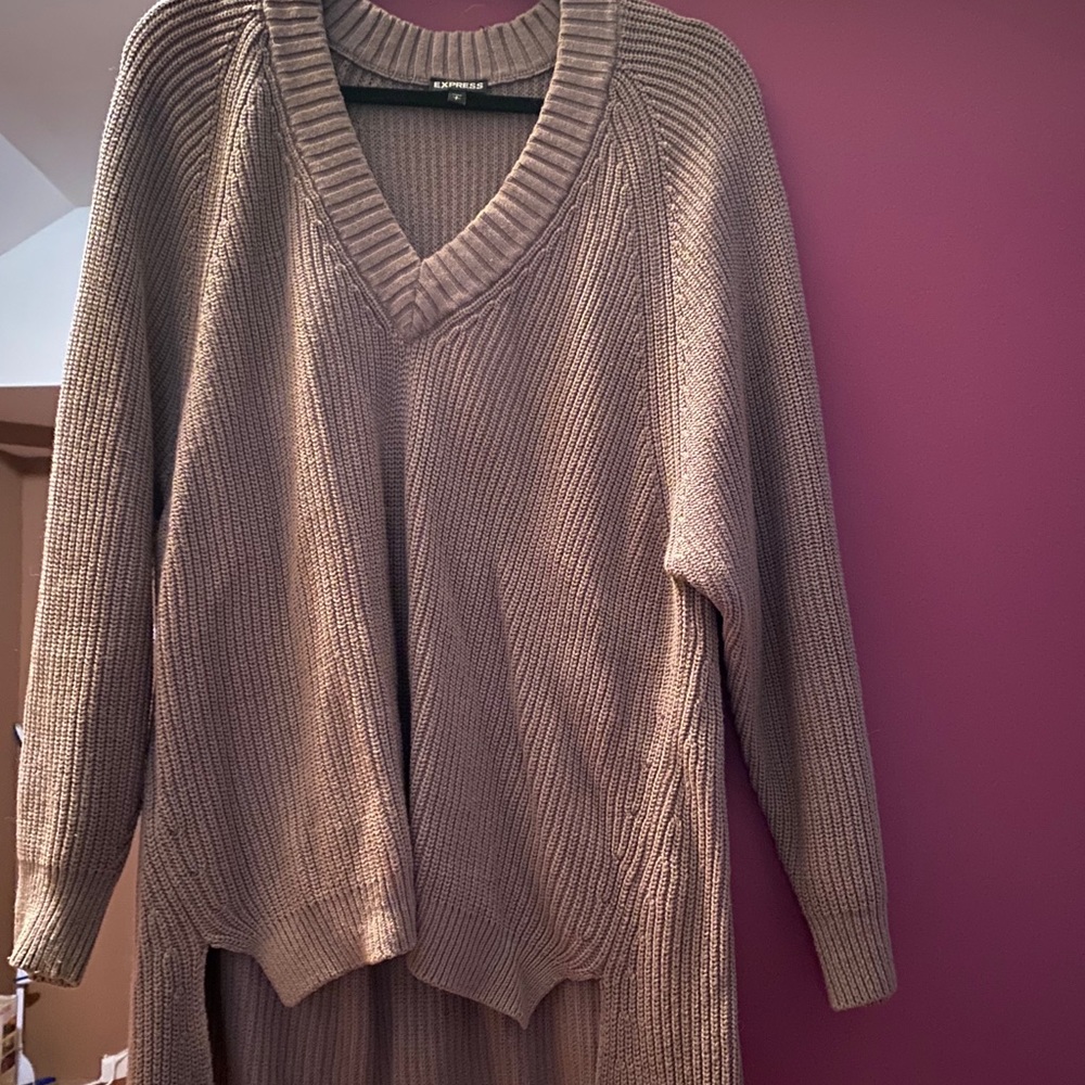 Express V neck Oversized sweater